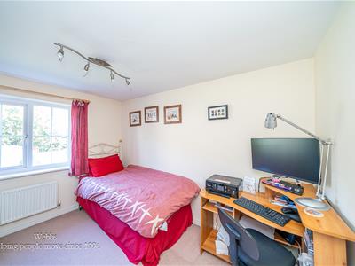 Picture 25